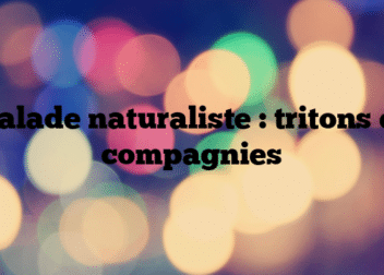 Balade naturaliste : tritons et compagnies
