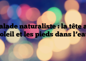 Balade naturaliste : la tête au soleil et les pieds dans l’eau